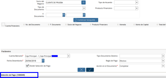 Selección de Pagos Generada