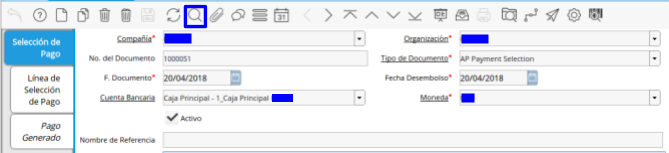 Selección de Pagos Generado