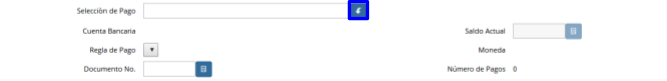 Búsqueda de Selección de Pagos