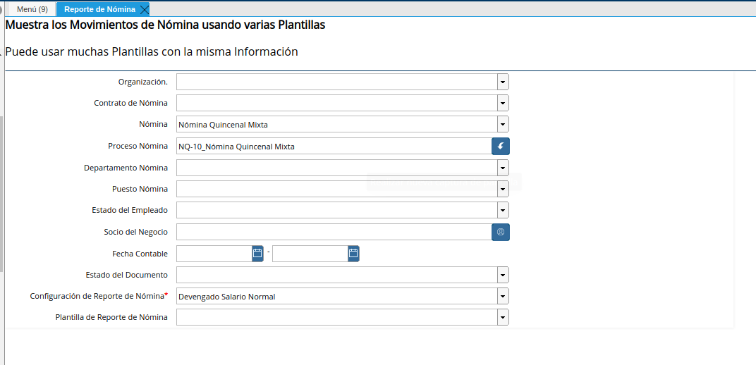 Parámetros para generar el reporte